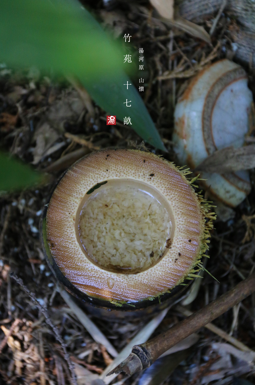 清らかな空気が漂う「竹苑 十七畝」の土地